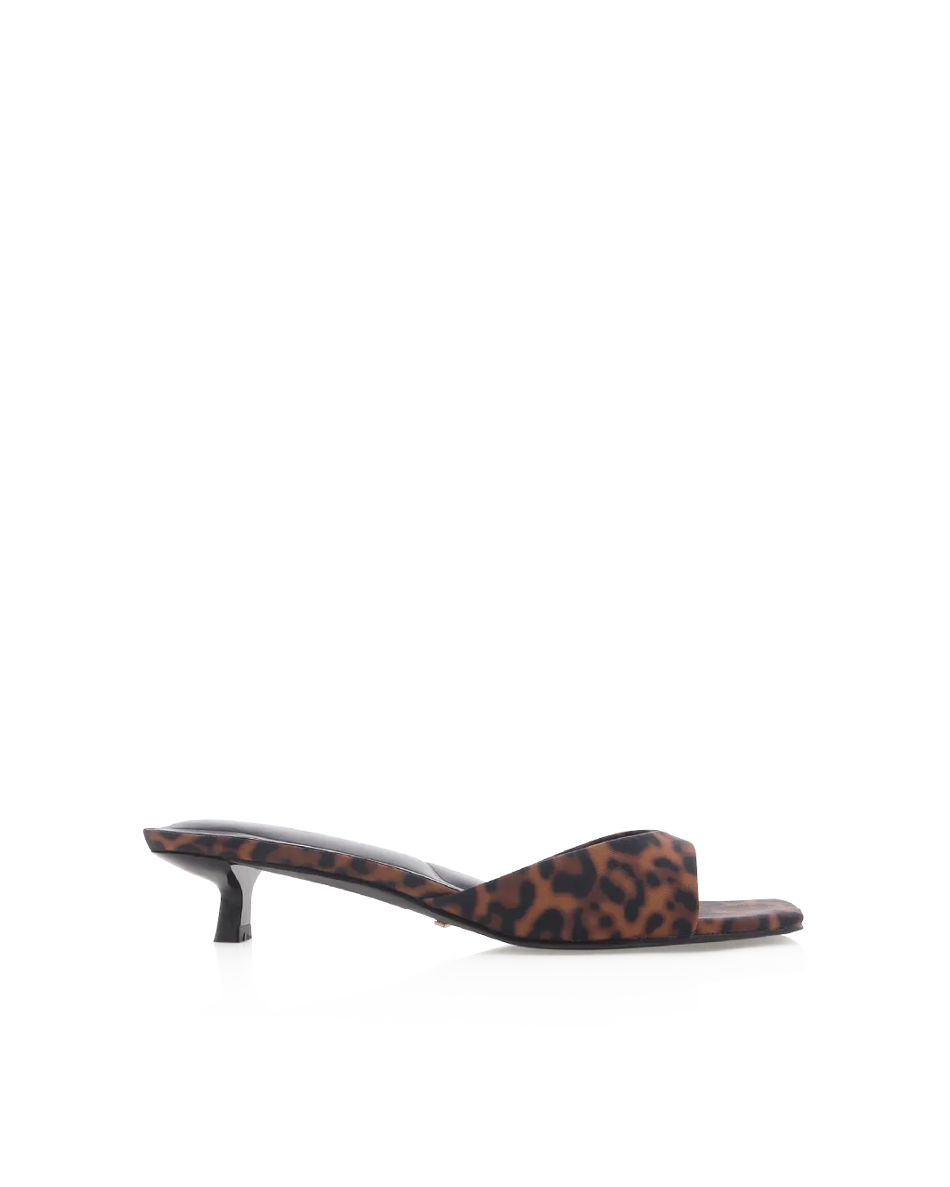 BRODY - LEOPARD