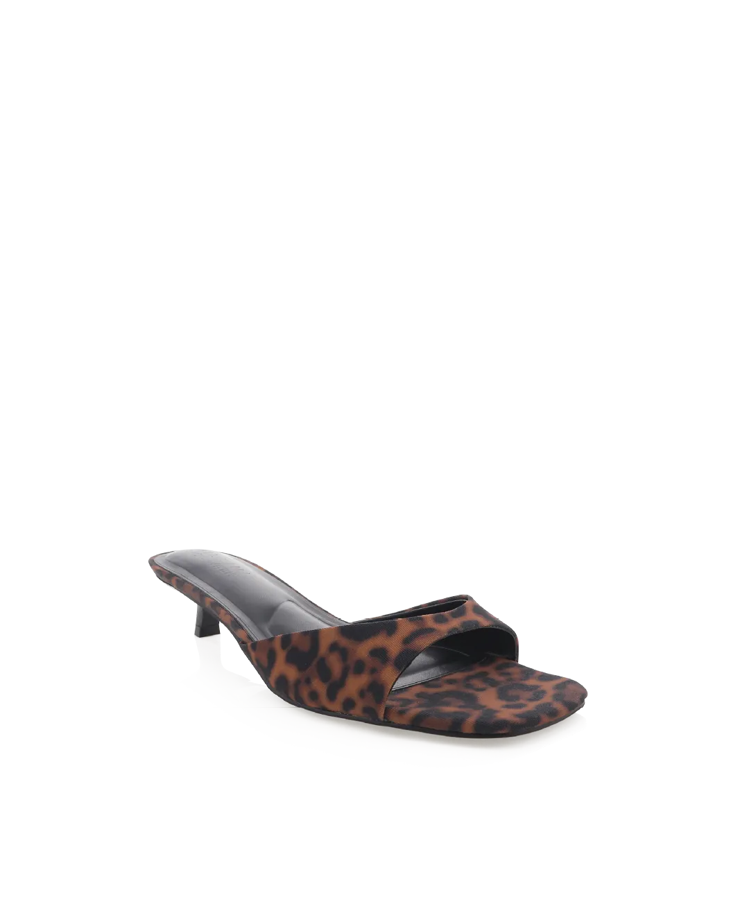 BRODY - LEOPARD