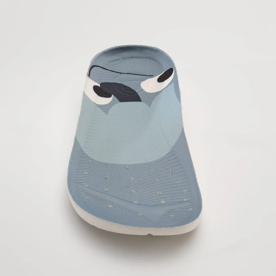 Nova X Cécile Gariépy Insoles