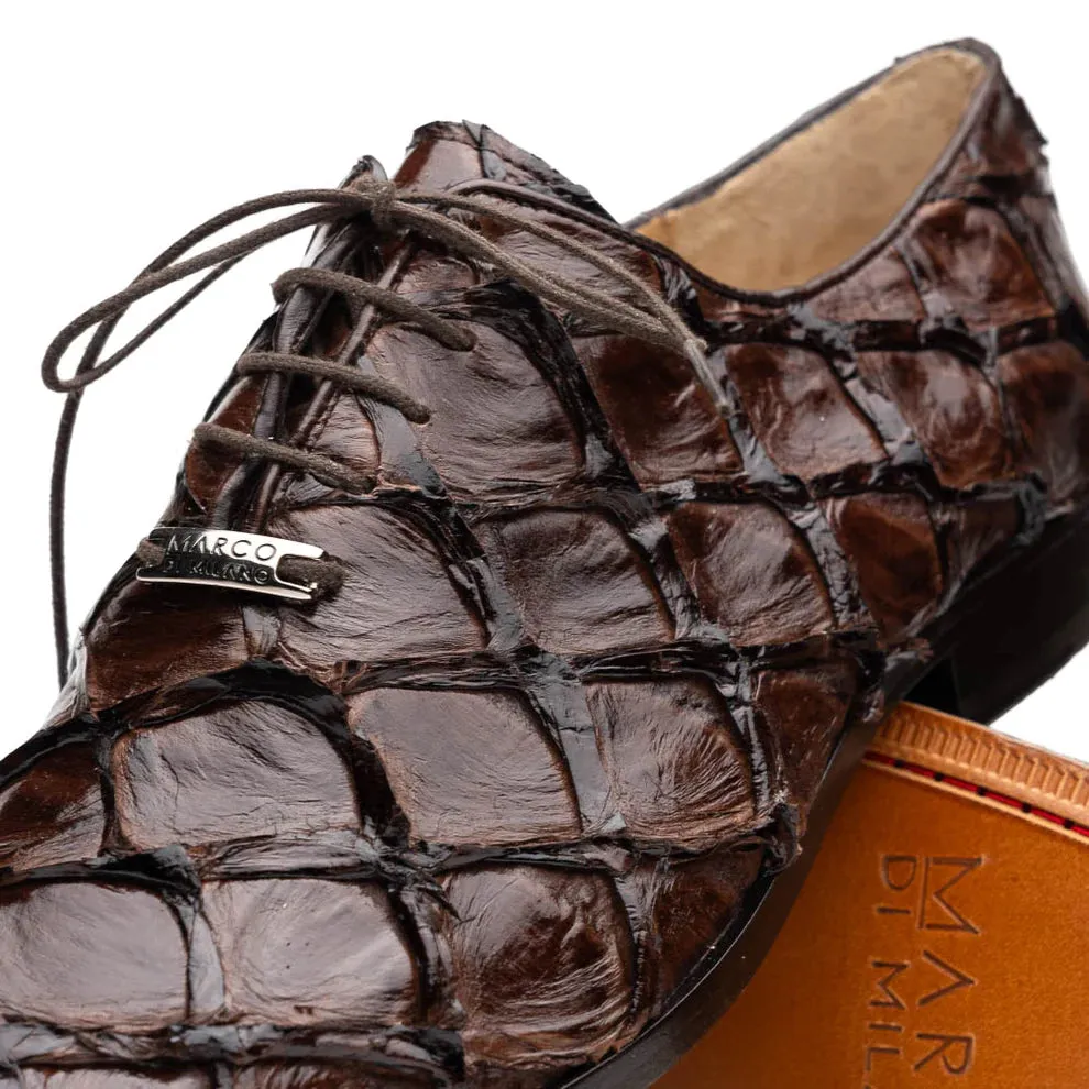 Olivieri - Brown