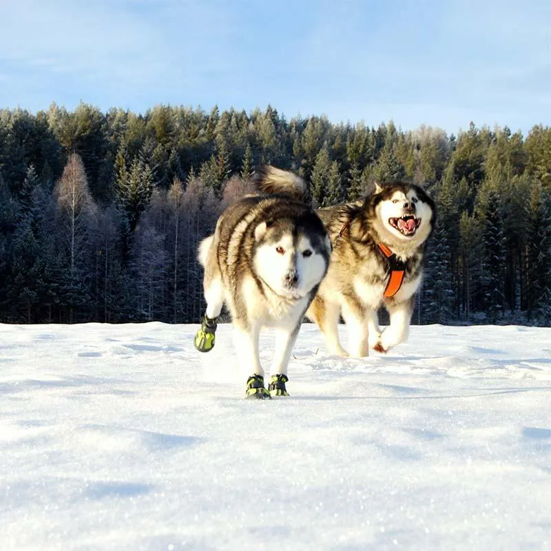 Waterproof Dog Shoes - Breathable - Reflector